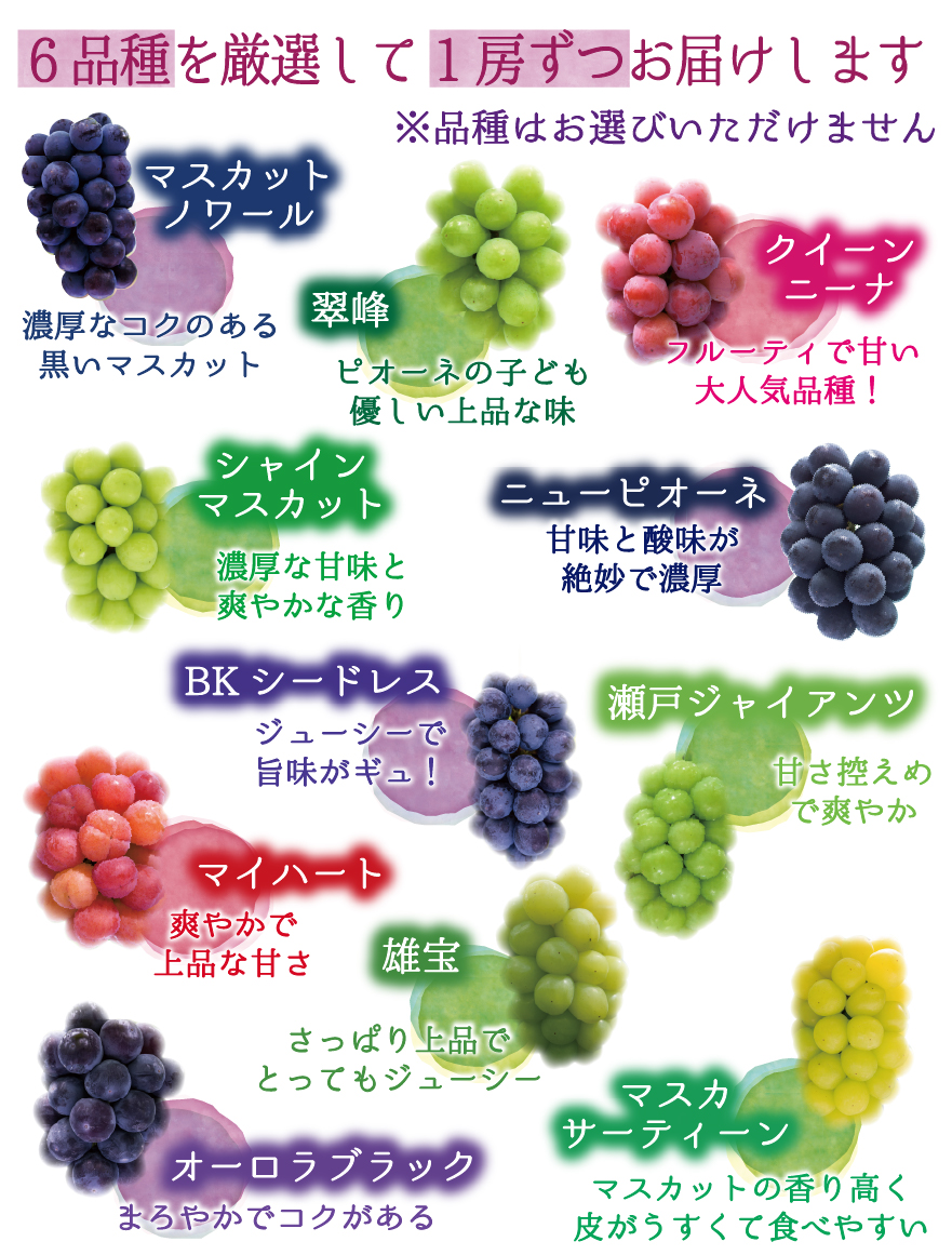 マスカット(+他) 画像(参考) シャインマスカット｜JA山形おきたま 山形おきたま農業協同組合